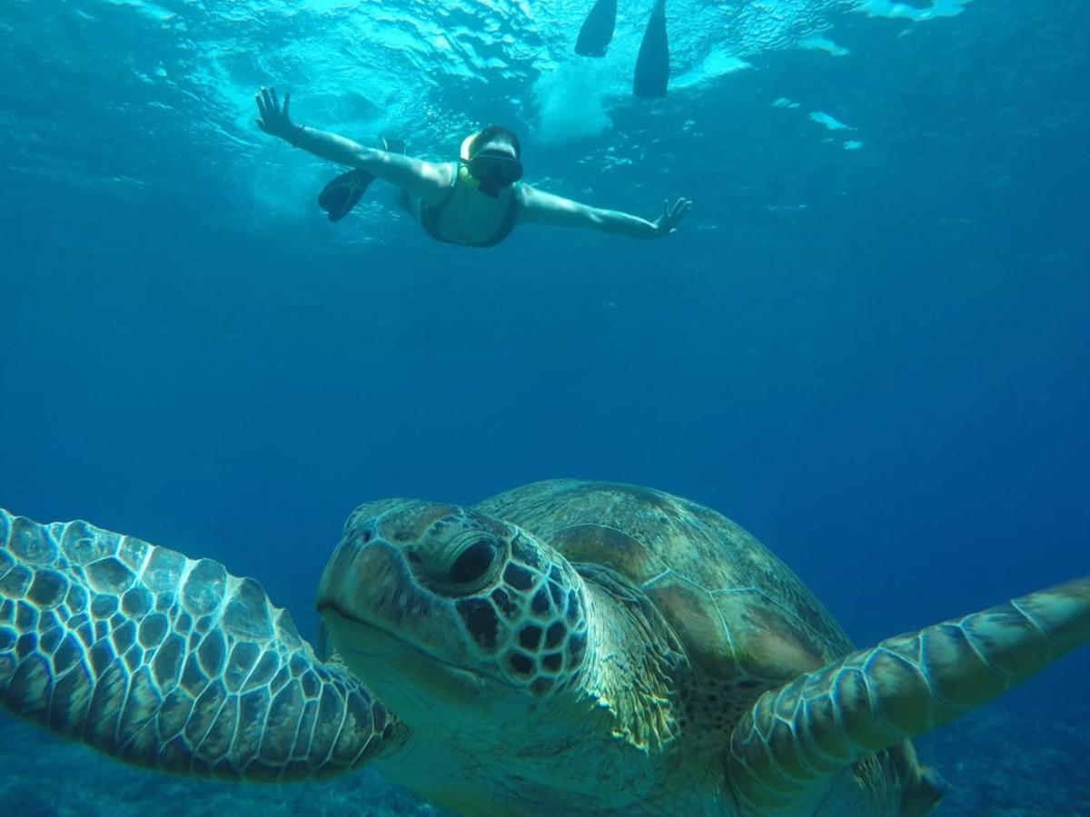 Fantastic Cottages Gili Meno Buitenkant foto