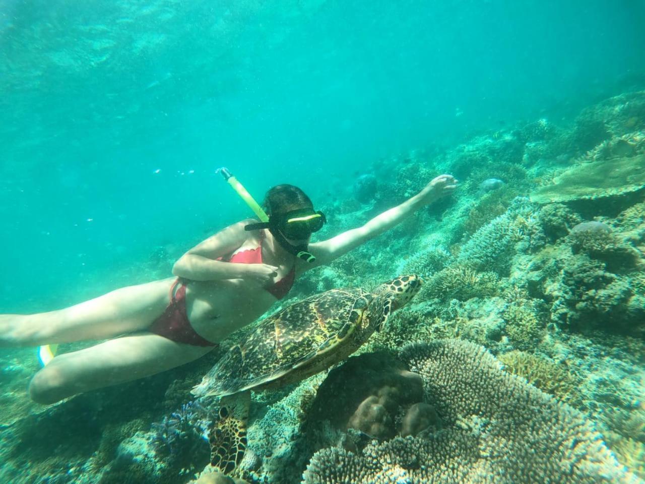 Fantastic Cottages Gili Meno Buitenkant foto