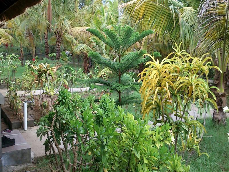 Fantastic Cottages Gili Meno Buitenkant foto